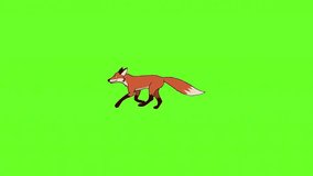 Animated fox in cartoon style. Ideal for children's educational projects, games, merchandise, or nature and animal-themed digital content. Animation, green screen background. - Powered by Shutterstock - Get 15% off with code: PIKWIZARD15