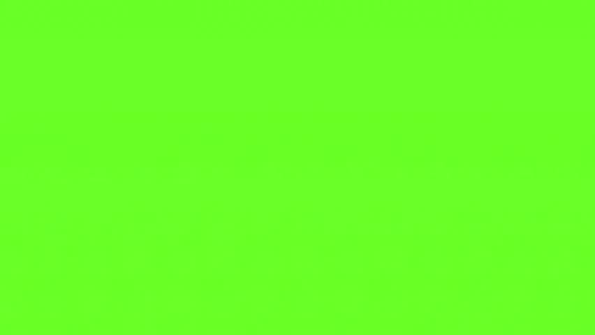 Animated fox in cartoon style. Ideal for children