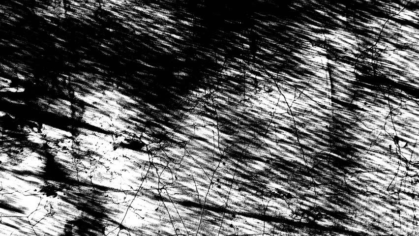 Monotoned noir grunge background with veiled mesh flowing movement