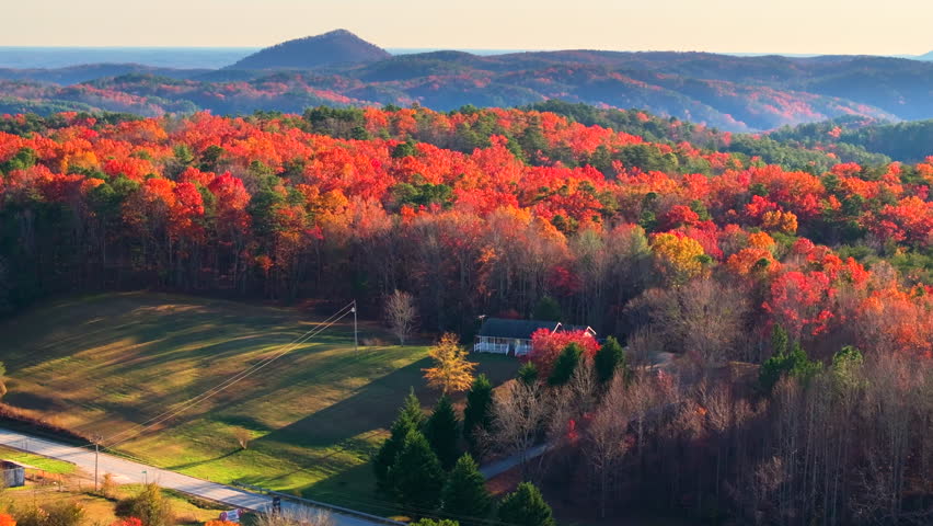Rural houses between golden woodlands of North Carolina in fall season. Appalachian mountains with dense forest canopies