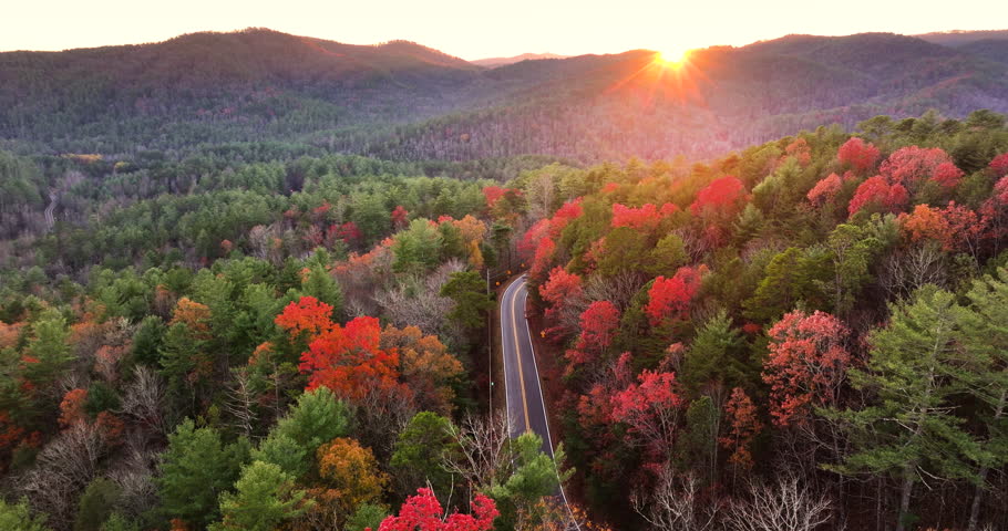 Winding forest road in Tennessee Appalachians during fall. Car traveling through mountain woods under glowing autumn leaves