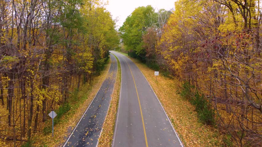 Endless Paved Road Through Autumn Trees Near Oka National Park, Québec, Canada. Aerial Drone Shot