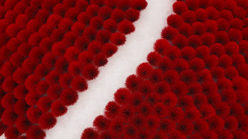 Abstract red fluffy textured background. A path divides a field of crimson pom-poms. Ideal for design projects needing a unique, bold texture.