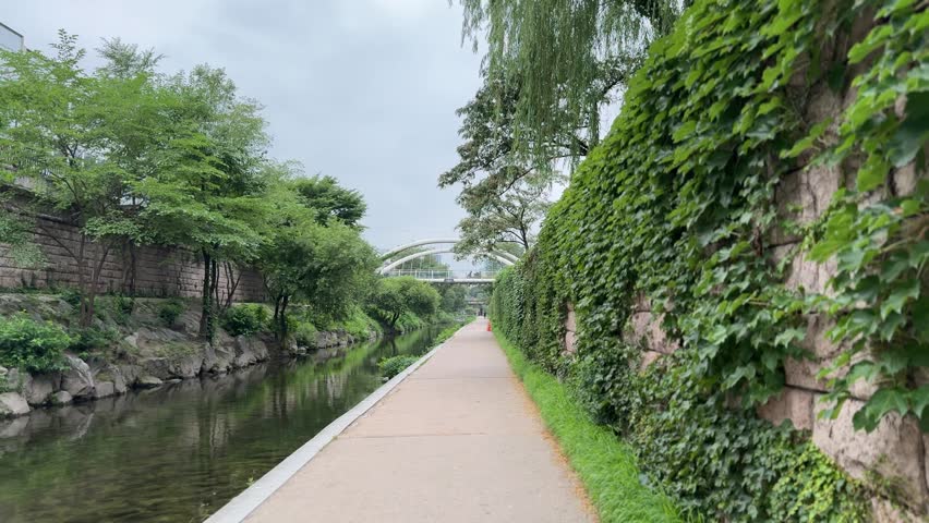 A view of the nature and trails of Cheonggyecheon Stream in Jongno-gu, Seoul, South Korea.