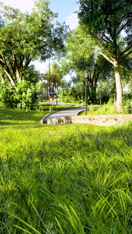 Portrait's Footage Modern City Park Road At Evening