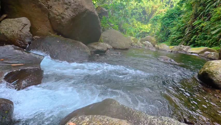 A steady stream runs through small boulders and sandbanks in a tropical forest. Ambient and silent footage.
