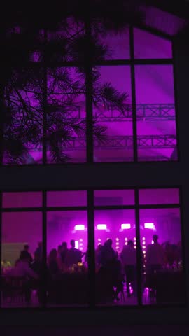 Party at night. View through window on silhouettes of dancing people. Private party in house. Silhouettes of dancing group of people, having fun on dance floor against background of disco lights.