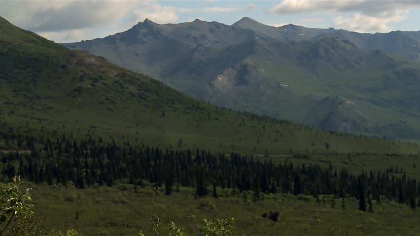 Sloped Terrain and Ridge Mountains of Denali National Park, Alaska, seen from valley