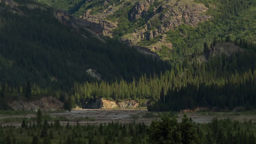Deep green valley and rugged slopes between sharp ridges, Denali National Park Alaska