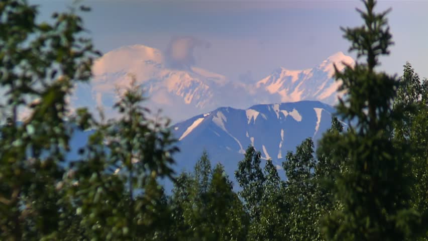 View of Denali Mount Denali (McKinley) Peak Behind Dense Tree Canopy in Summer