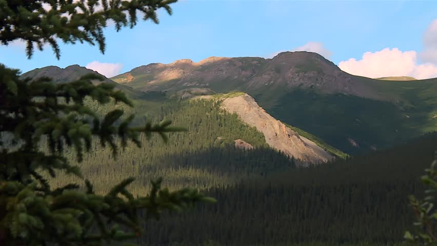 Forested mountain ridge under blue sky in evening light, Denali Alaska wilderness