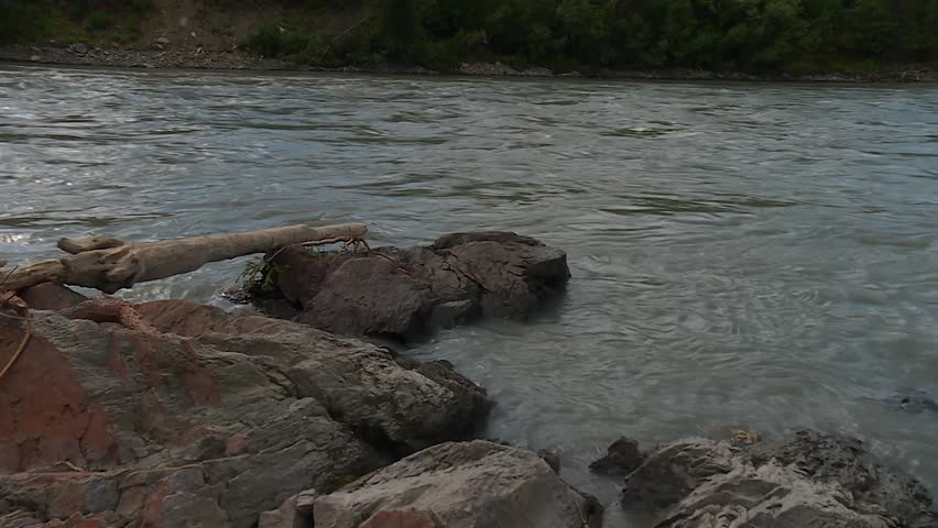 Rocky riverbank and flowing spruce-lined stream under blue sky in Alaska wilderness