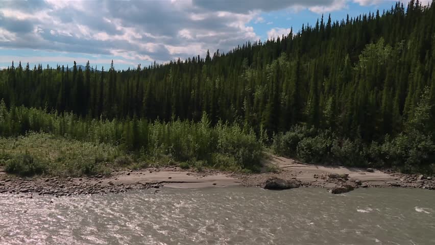 Conifer hillside above gravelly riverbank and flowing water under cloudy sky in Denali
