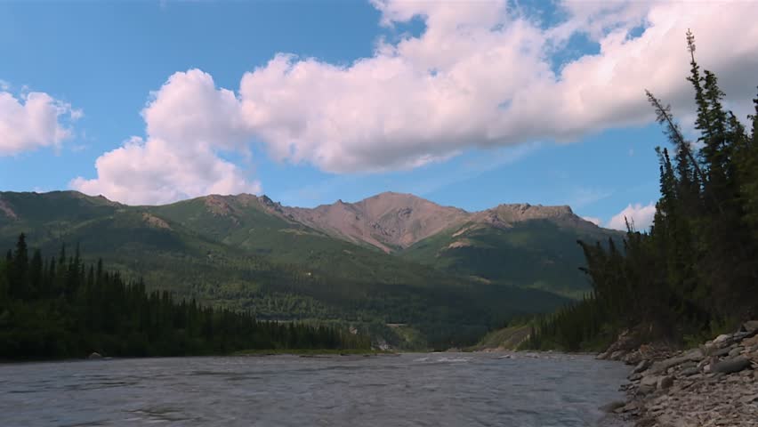 River Cutting Through Valley with Forested Slopes in Denali National Park, Alaska
