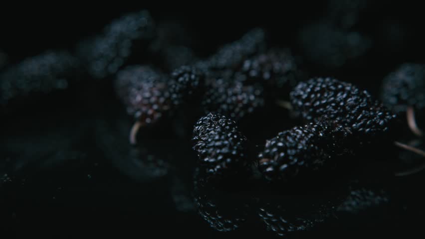 Blackberry fruit is very tasty and has a lot of nutritional value.