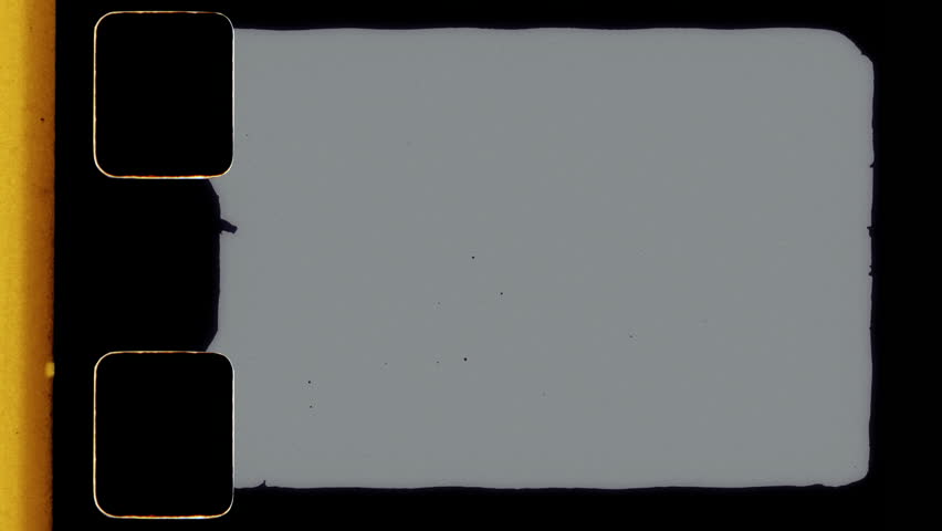 Shutterstock Video