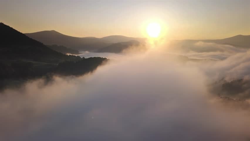 Shutterstock Video