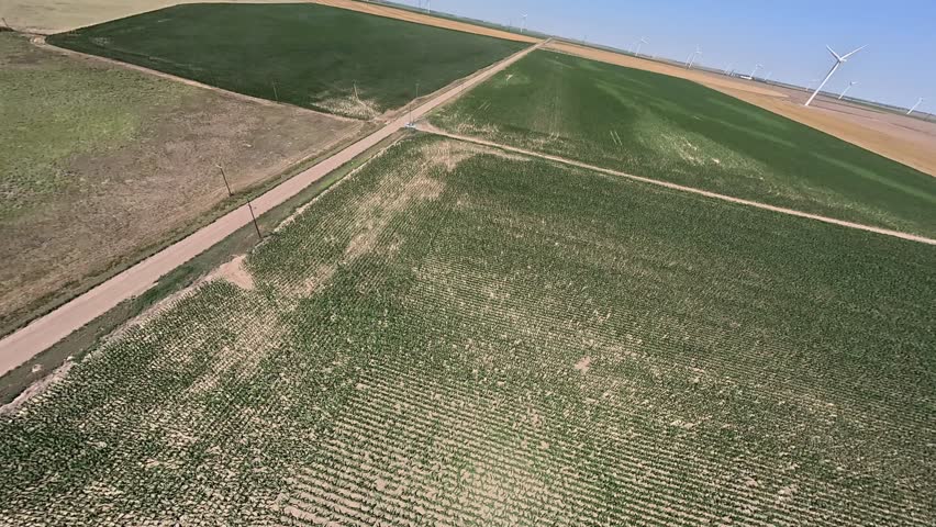 FPV Drone Flying over a Cornfield in Northwest Kansas