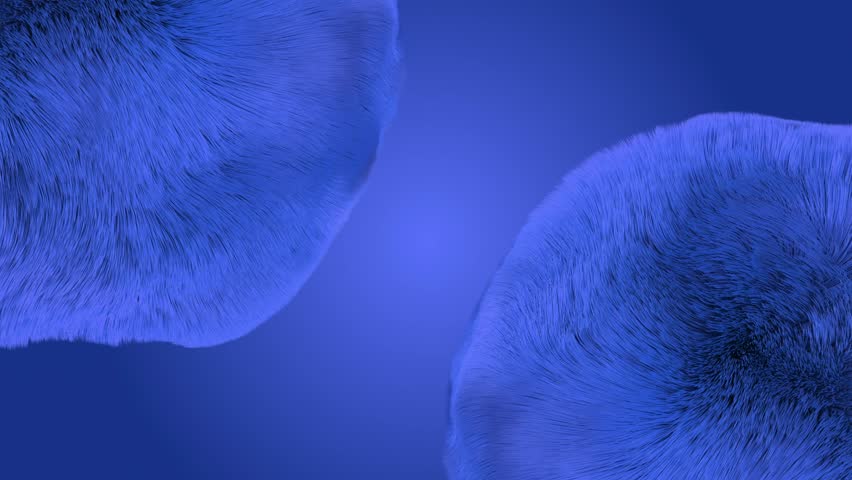 Soft pink 3D fur loop animation waving in the wind. Great for romantic, dreamy, and playful abstract visuals.