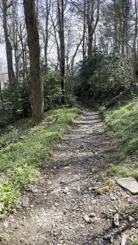 Rocky Top, hiking, vertical video, POV hiking, Great Smoky Mountains, Tennessee, nature walk, mountain trail, trail footage, hiking POV, scenic hike, outdoor adventure, mountain hiking, walking trail