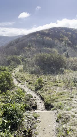 Rocky Top, hiking, vertical video, POV hiking, Great Smoky Mountains, Tennessee, nature walk, mountain trail, trail footage, hiking POV, scenic hike, outdoor adventure, mountain hiking, walking trail