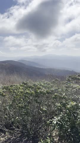 Rocky Top, hiking, vertical video, POV hiking, Great Smoky Mountains, Tennessee, nature walk, mountain trail, trail footage, hiking POV, scenic hike, outdoor adventure, mountain hiking, walking trail