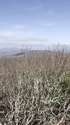 Rocky Top, hiking, vertical video, POV hiking, Great Smoky Mountains, Tennessee, nature walk, mountain trail, trail footage, hiking POV, scenic hike, outdoor adventure, mountain hiking, walking trail