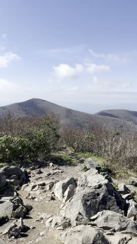 Rocky Top, hiking, vertical video, POV hiking, Great Smoky Mountains, Tennessee, nature walk, mountain trail, trail footage, hiking POV, scenic hike, outdoor adventure, mountain hiking, walking trail