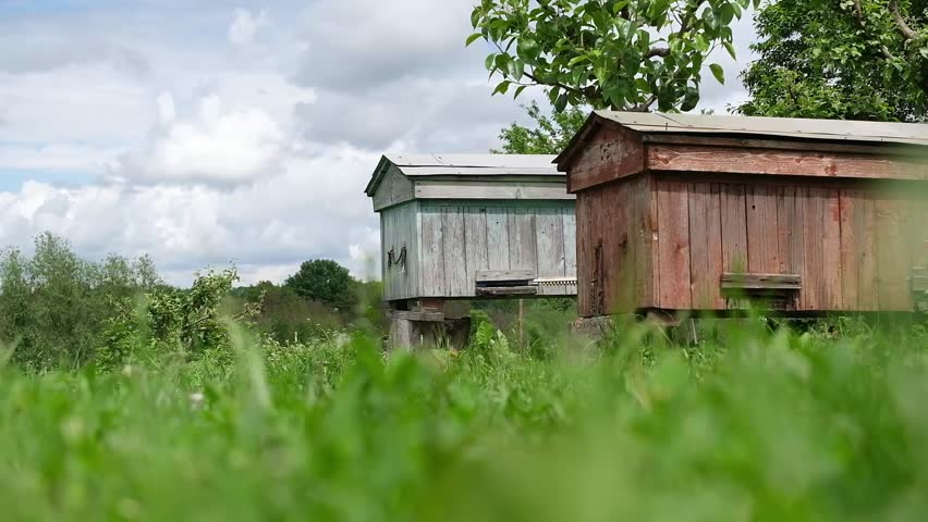 Two bee hives are in a field with a cloudy sky in the background. The hives are wooden and are located near a tree