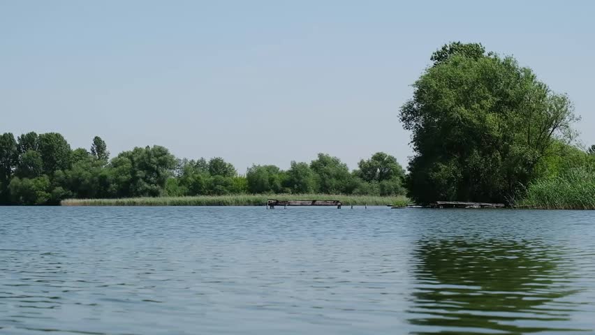 Calm lake with a tree in the background. The water is still and the sky is clear
