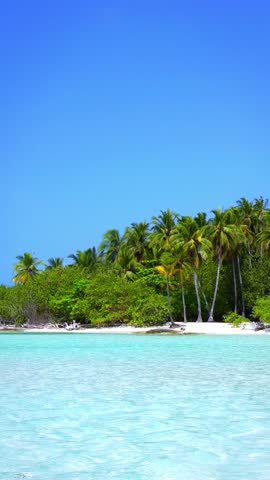 Tropical island in Indian Ocean. Wild and uninhabited coast with palm trees. Travel destinations. Vertical footage