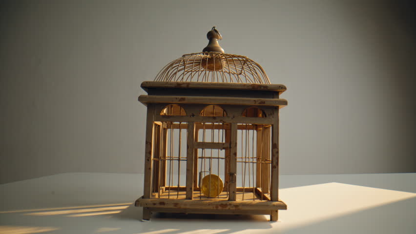 Gold bitcoin locked inside old rustic wooden birdcage zoom on. Hand opening cage showing coin suggesting control or restriction closeup. Visual metaphor of financial confinement and regulatory barrier