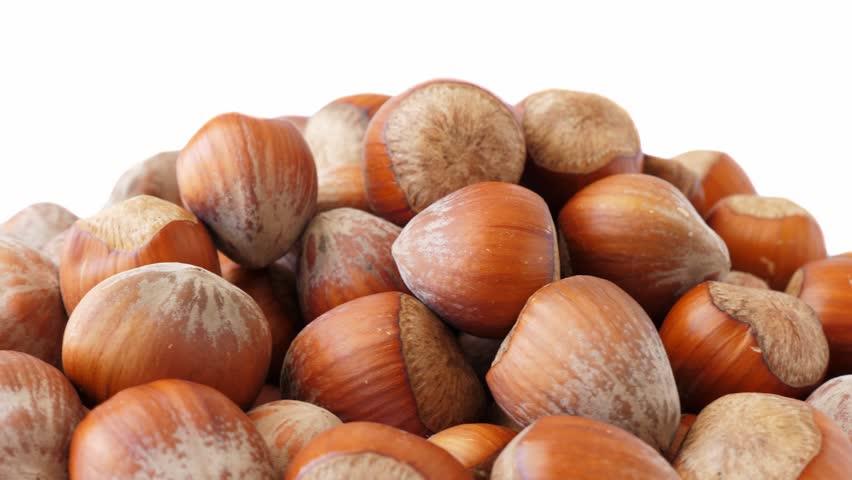 Hazelnut background. Rotating on white background