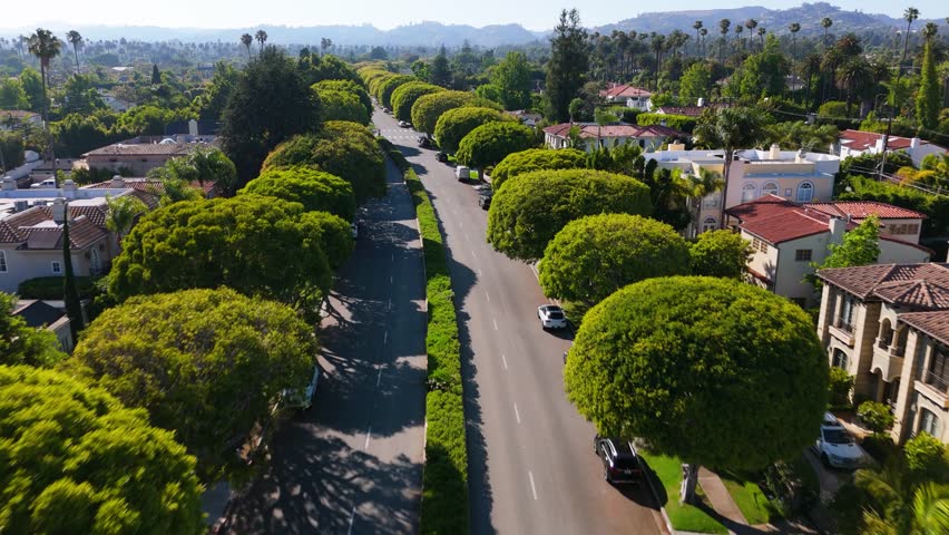 Elegant tree-lined street in Beverly Hills with scenic mountain view
