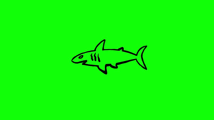 4K motion graphic animation of shark icon. Frame by frame animation of shark icon on chroma key green screen background.