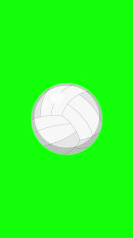 Shutterstock Video