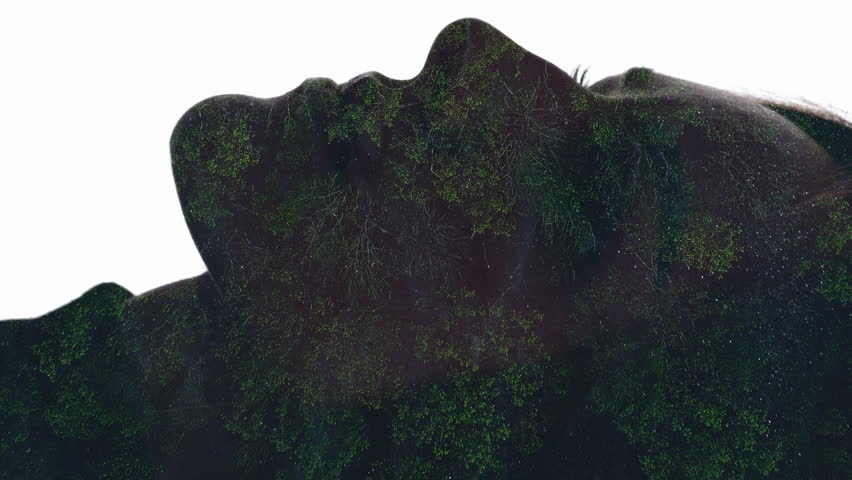 Vertical video. Nature mindfulness. Sustainable Earth. Aerial view forest with dust in air floating double exposure profile silhouette of female face isolated on white.