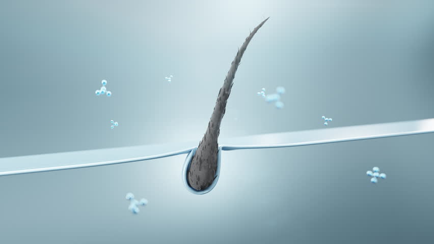 Hair follicle after hydration and treatment. 3D view showing active delivery deep inside - great for beauty, skincare, or medical product promos.3d animation