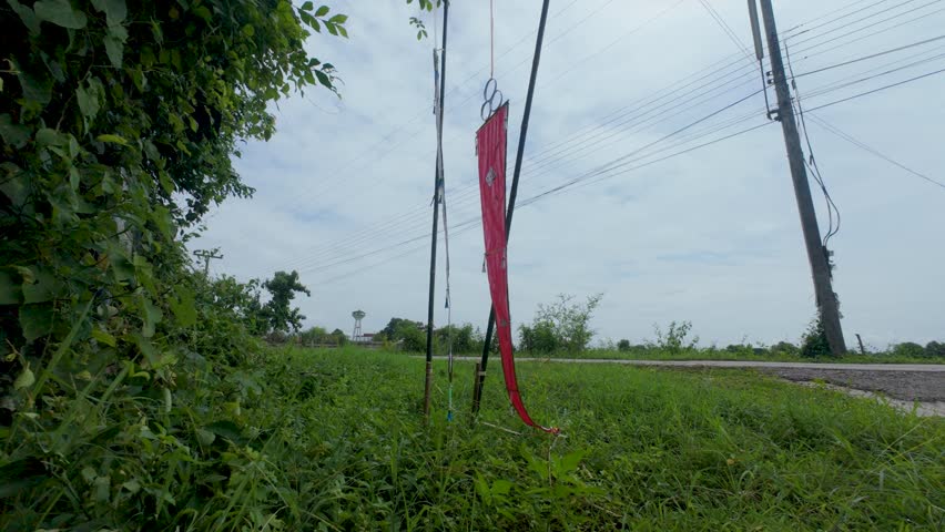 Vibrant flags hang against a tranquil Asian countryside backdrop. Lush greenery, power lines, and a clear sky create a serene, picturesque scene. Ideal for travel, culture, or nature projects.