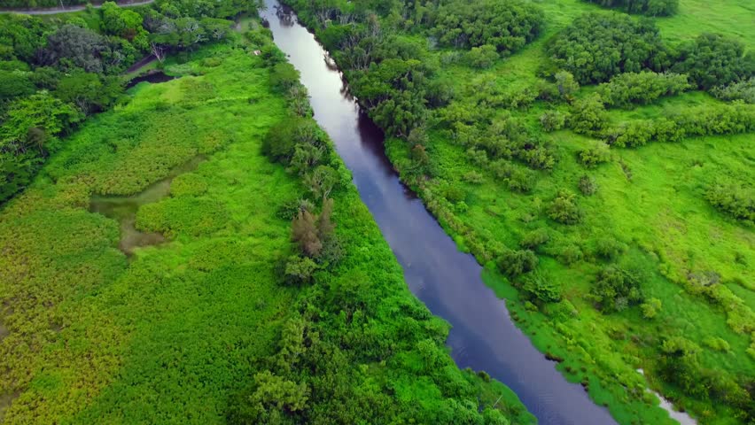 Aerial drone footage of Waipio Valley, Honokaa, Hawaii showcasing full lush valley with stunning waterfall, perfect for travel, adventure, tropical nature and cinematic landscape visuals.