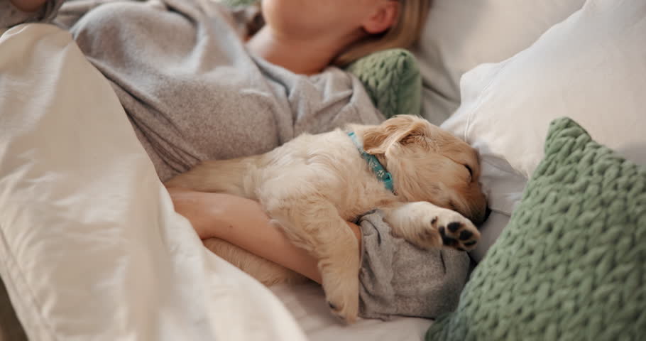 Woman, relax and sleeping dog on bed for companion, connection and bonding together. Female person, resting and rescue puppy with love, animal affection and labrador adoption for pet care at house