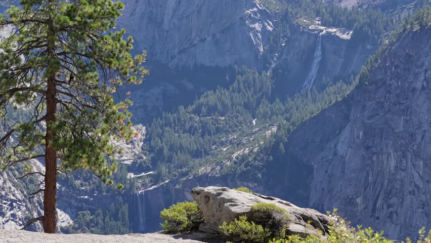 Footage capturing Yosemite’s Vernal Fall and Nevada Fall as seen from Glacier Point, with a crow perched on a pine tree in the foreground.