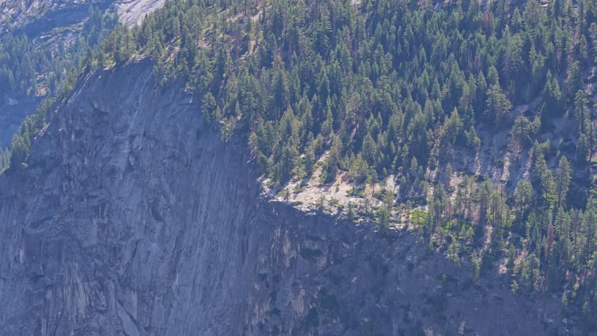 Footage of resilient pine trees growing along the edge of a steep granite mountain cliff in Yosemite National Park, California.