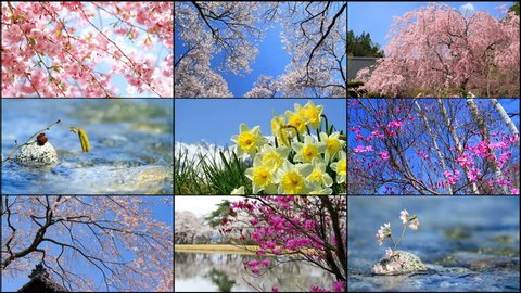 Four seasons collage. Several footage at different time of the year. Planet earth life cycle concept. 