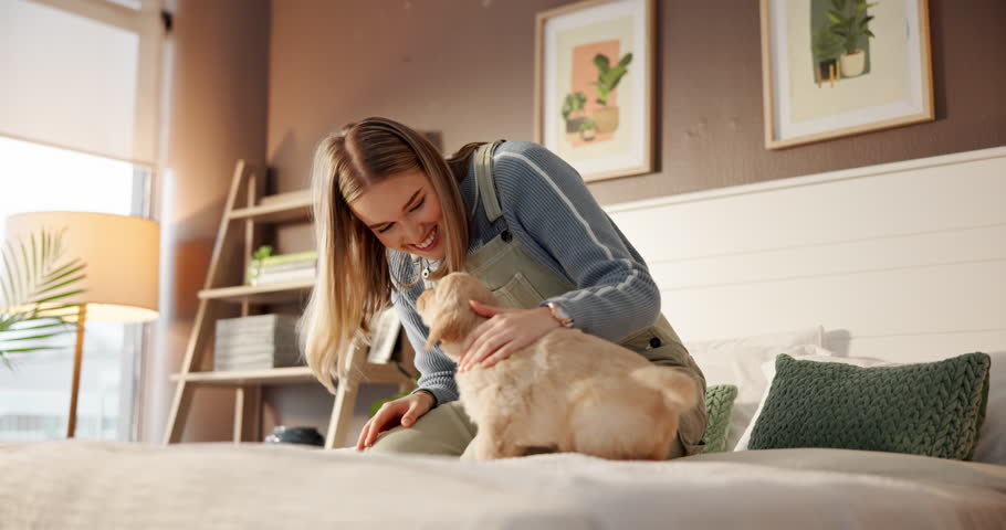 Home, woman and playing with puppy on bed for connection, bonding together and pet loyalty. Love, dog mom and stroke furry best friend in apartment for adoption, teaching tricks or domestic companion