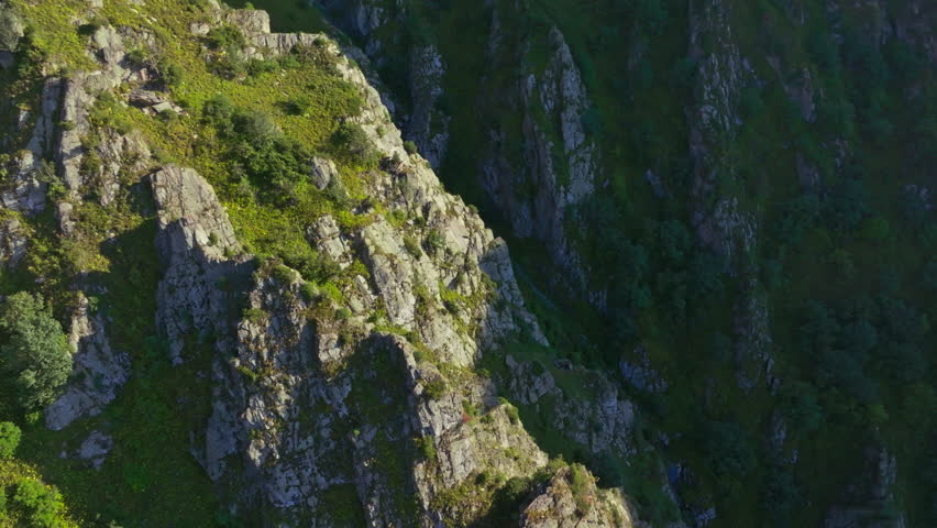 Shutterstock Video