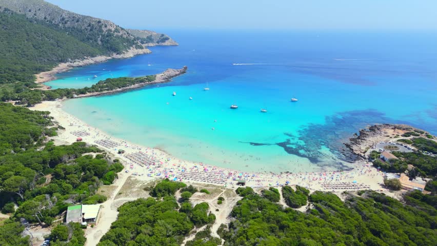Drone shot Crowded Cala Agulla beach with turquoise sea and boats in Mallorca, Spain
