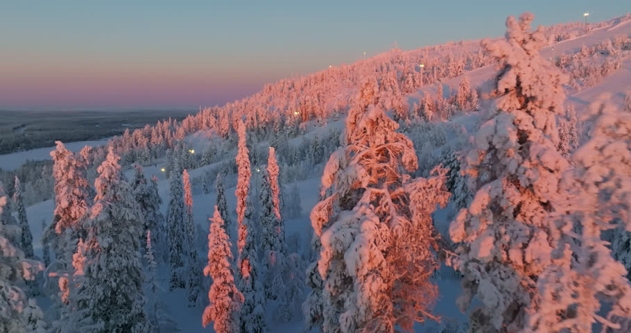 Aerial view low over sunlit trees toward the slopes of Salla, winter in Lapland