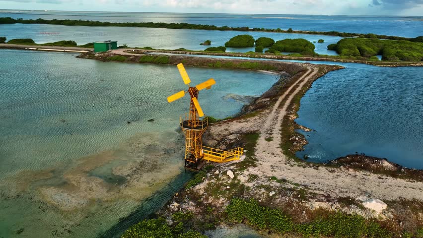 Aerial view of mangroves and windmill along shoreline, Netherlands.