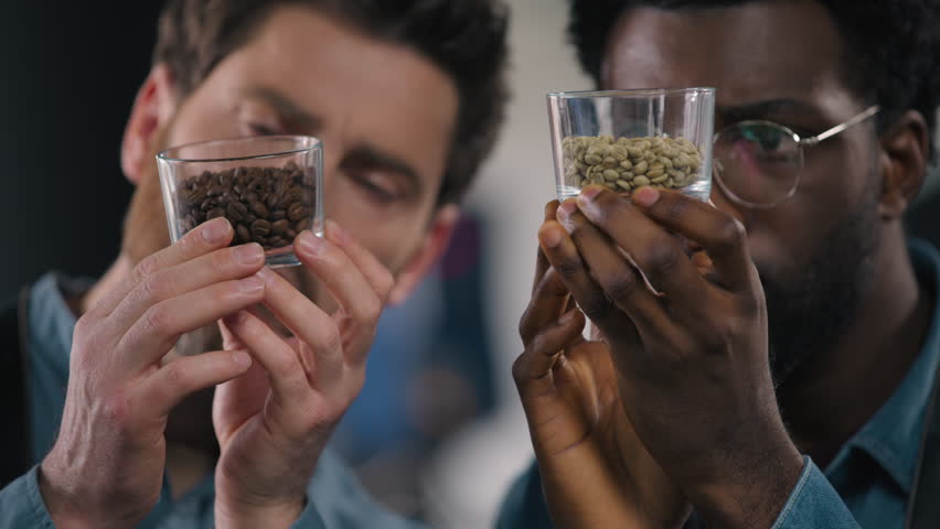 Close up African American Caucasian men inspect coffee cups study differences examine aroma texture concentration roasting quality small business flavor expertise roaster comparison factory process